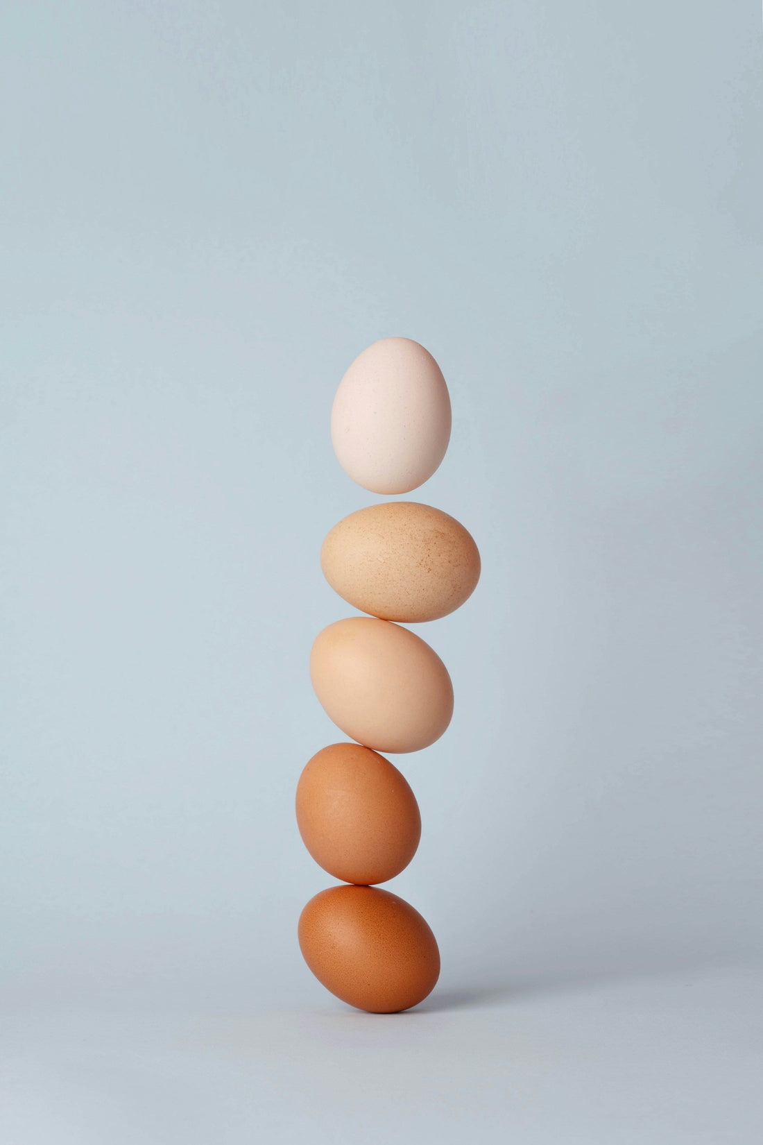 Hormonelle Balance durch Organergänzungen: Wie Rinderleber deine Gesundheit unterstützt online kaufen | Raw Animal