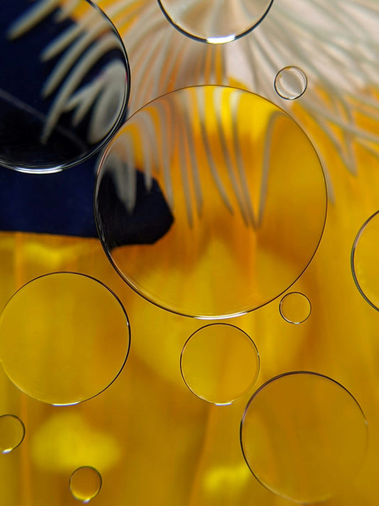 Omega-6-Überfluss: Warum zu viel Samenöl problematisch sein kann online kaufen | Raw Animal
