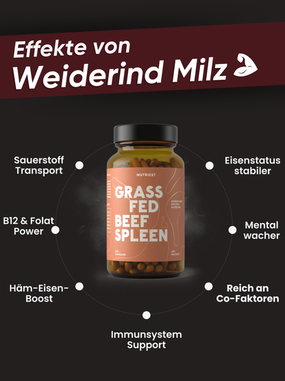 Rate de bœuf bio séchée en gélules