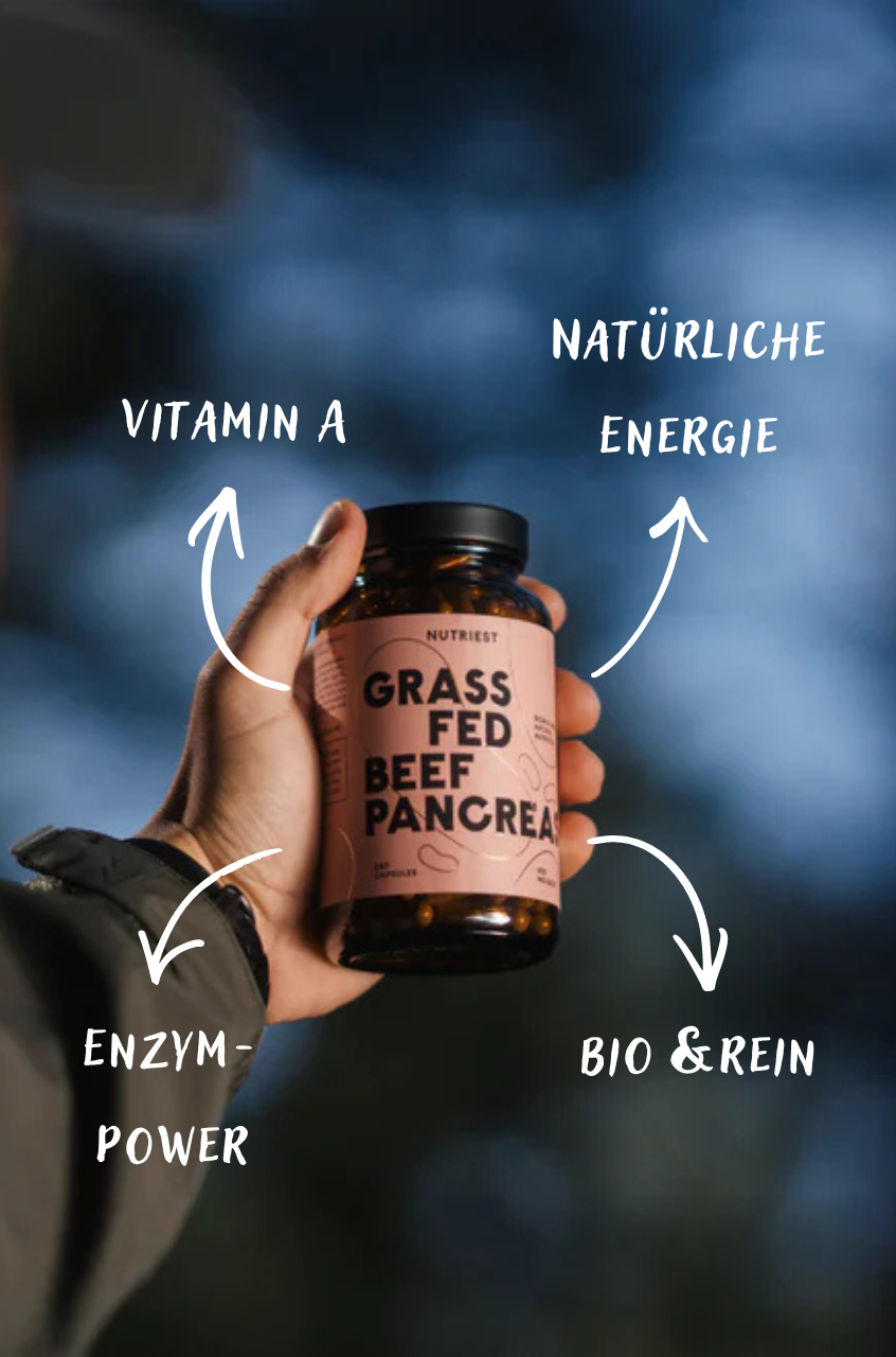 Pancréas de bœuf bio séché en gélules