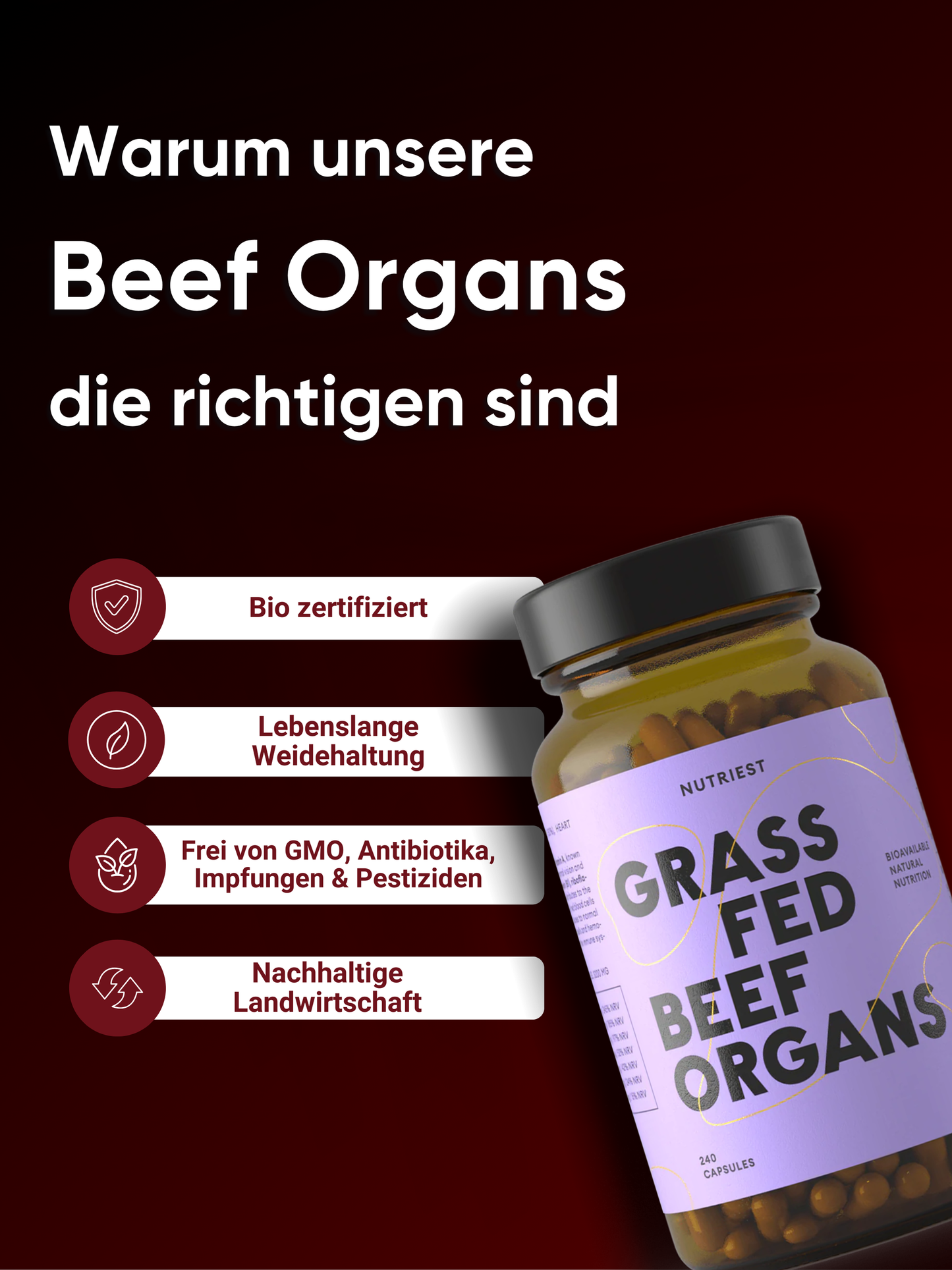 Organes de bœuf bio séchés en capsules