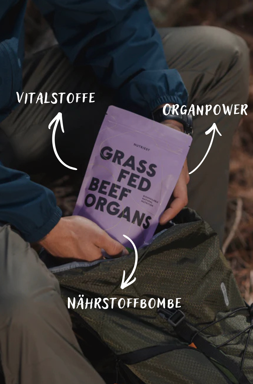 Mélange d'organes de bœuf bio séché en poudre