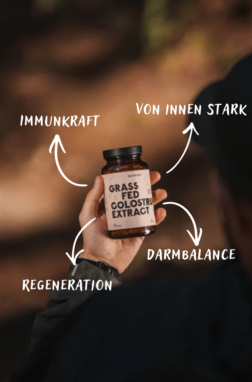 Extrait de colostrum de bœuf bio séché en gélules