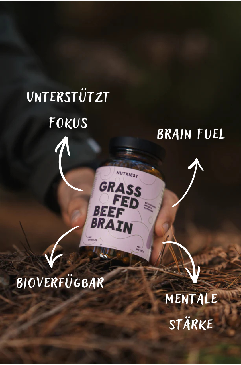 Cerveau de bœuf séché en gélules