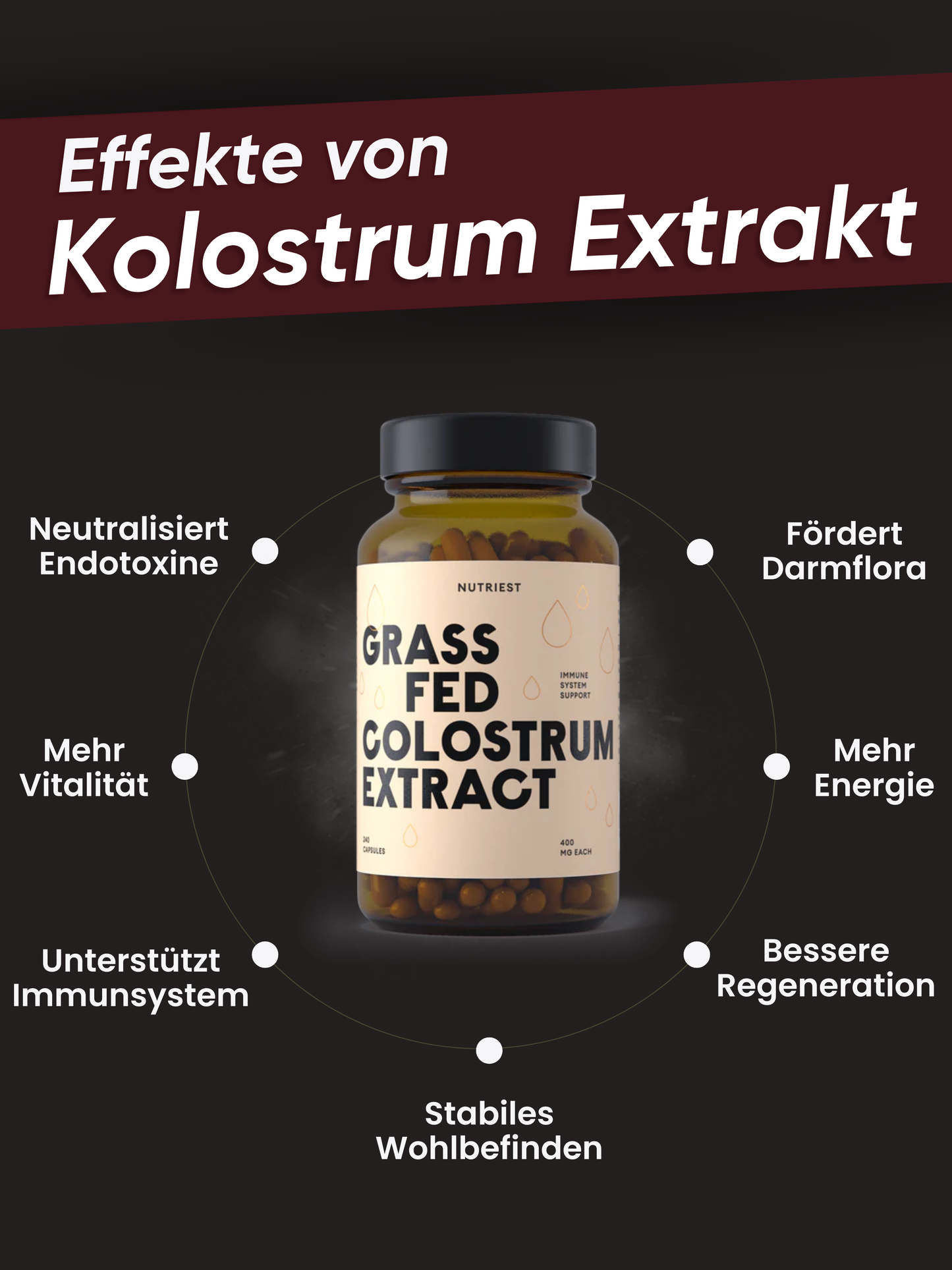 Extrait de colostrum de bœuf bio séché en gélules
