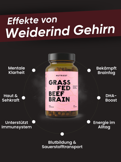 Cerveau de bœuf séché en gélules