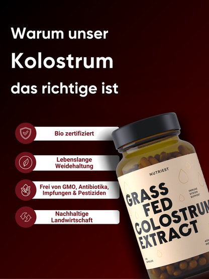 Extrait de colostrum de bœuf bio séché en gélules