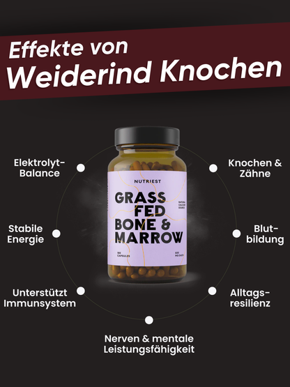 Os et moelle osseuse de bœuf bio nourri à l'herbe, séchés et conditionnés en capsules
