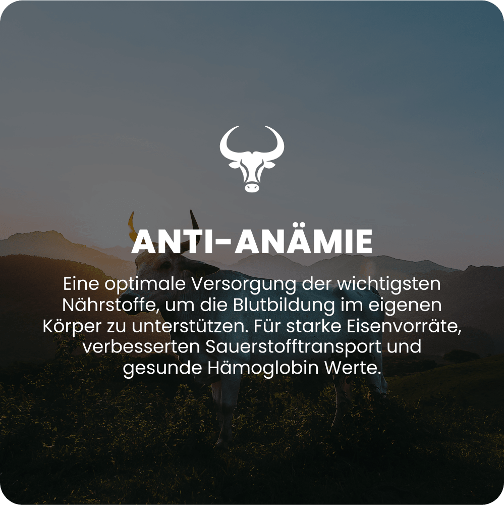 Anti-Anämie Raw Animal - Raw Animal