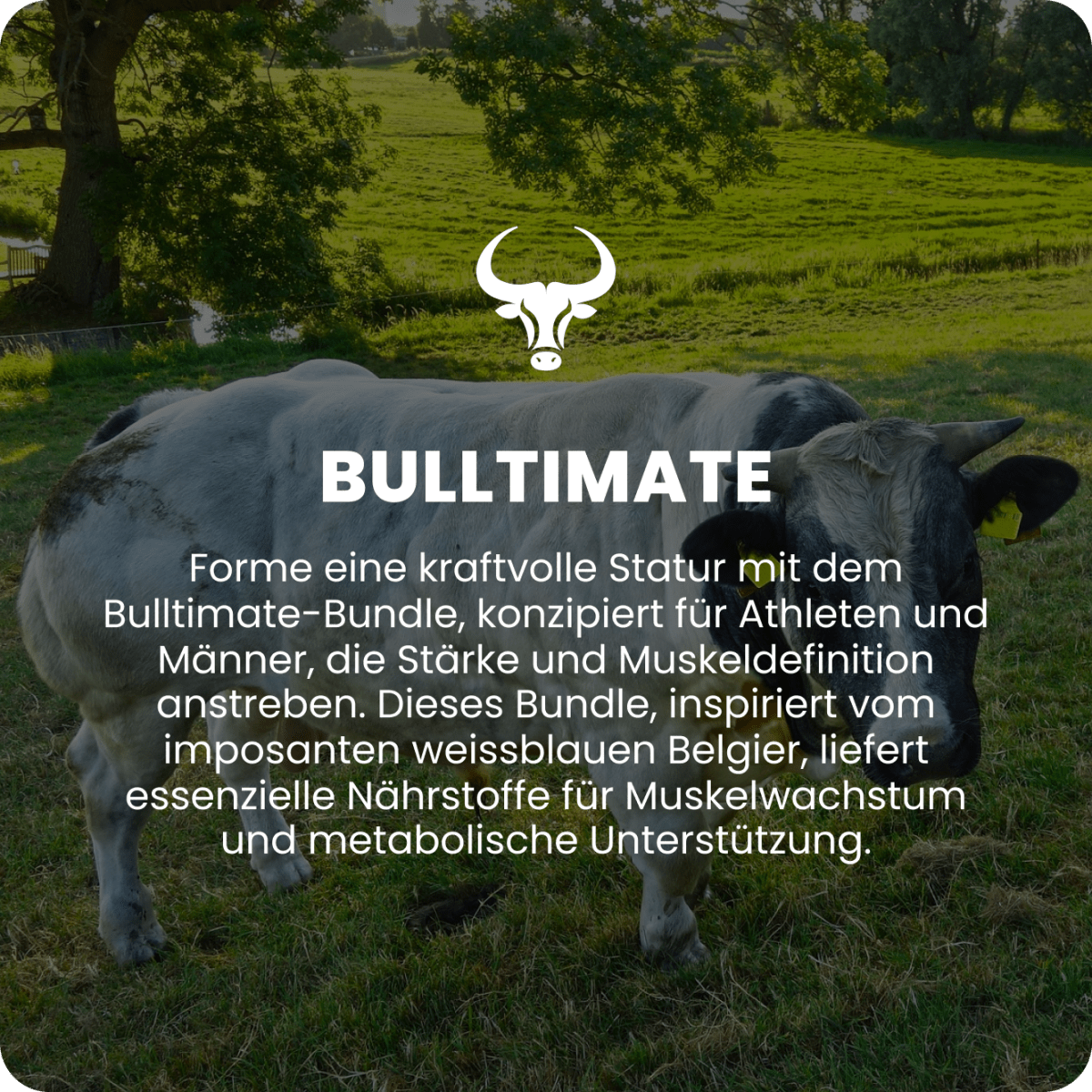 Bulltimate Raw Animal - Raw Animal
