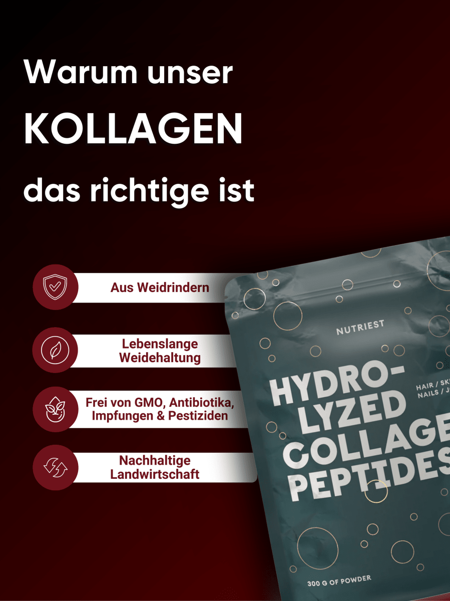 Hydrolysiertes Kollagen Pulver aus Weiderind NUTRIEST - Raw Animal