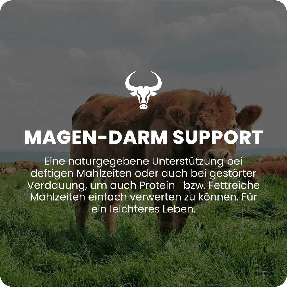 Magen-Darm Support Raw Animal - Raw Animal