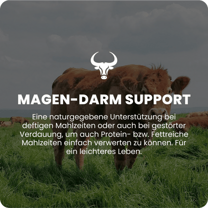 Magen-Darm Support Raw Animal - Raw Animal