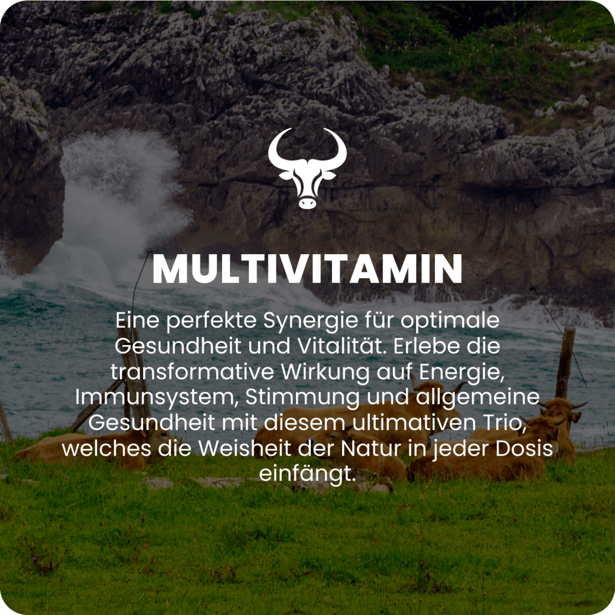 Multivitamin Raw Animal - Raw Animal